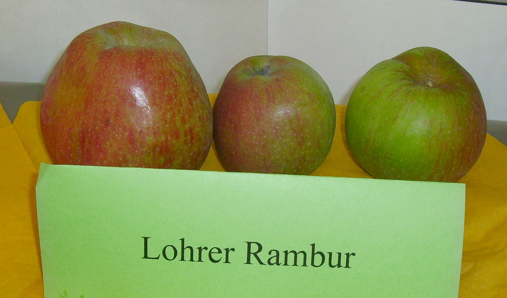 Apfel 'Lohrer Rambour'